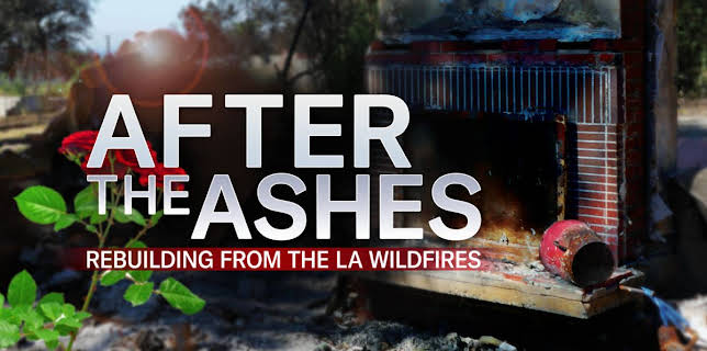 After the Ashes: Rebuilding from the LA Wildfires