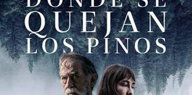 13:17: Donde se quejan los pinos | M. Drama | 2/7 2026