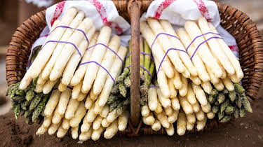 14:25: Vom Ahorn bis zur Zwiebel | ARD Alpha | 4/7 2026