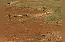 Saving the Ocean with Carl Safina: River of Kings, Part 2