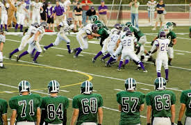 How the Stock Market Works: The Efficient Market Hypothesis