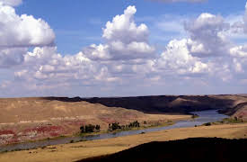 Wardens: River Rescue