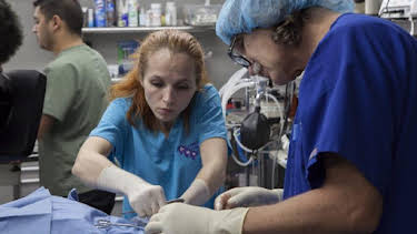 2:00 PM: Dr. Jeff: Rocky Mountain Vet (S4) | Discovery Channel | 8/14 2026