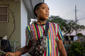 Rap Sh!t, Season 1: Something for The Hood