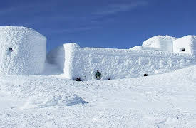 Papa Jake: 24 Hour Challenge in a Box Fort Igloo!