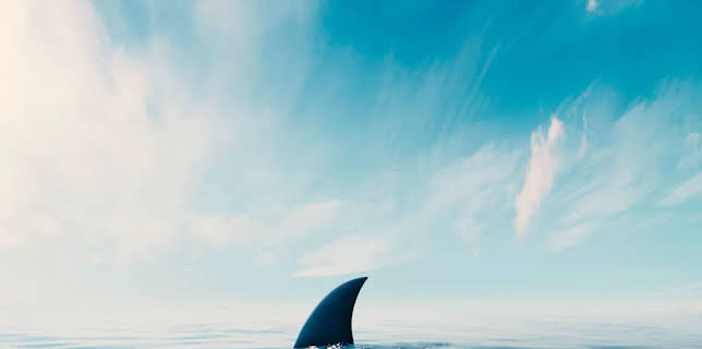 Secret Lives of Sharks (2021)