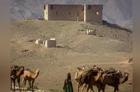 Beyond the Towers: Vengeance