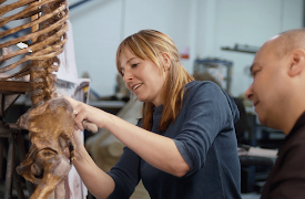 Prehistoric Autopsy: Neanderthal