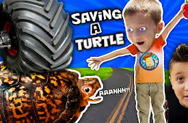 FV Family Greatest Hits: We Saved a Turtle