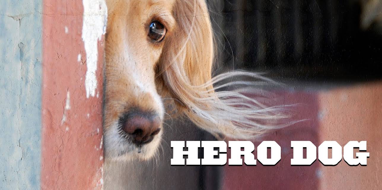 Hero Dog (2024)