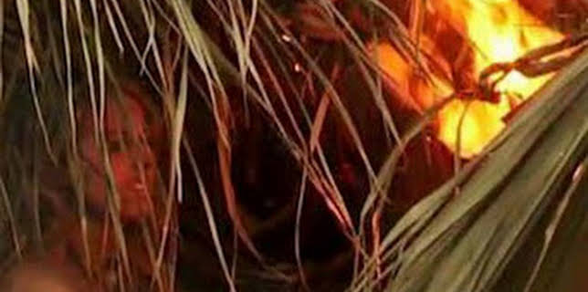 08:36: Aventura en pelotas: El peligro implícito | Discovery Max | 12/16 2025