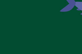 Animanimals: Pufferfish