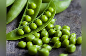 The Botanist's Eye: Identifying the Plants around You: Eudicots: Peas and Beans