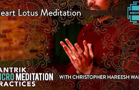 Tantrik Micro Meditation Practices: Heart Lotus Meditation