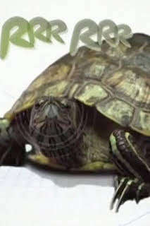 06:30: Animalia | La Otra | 3/29 2026