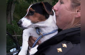 The Dog Rescuers: Episode 4