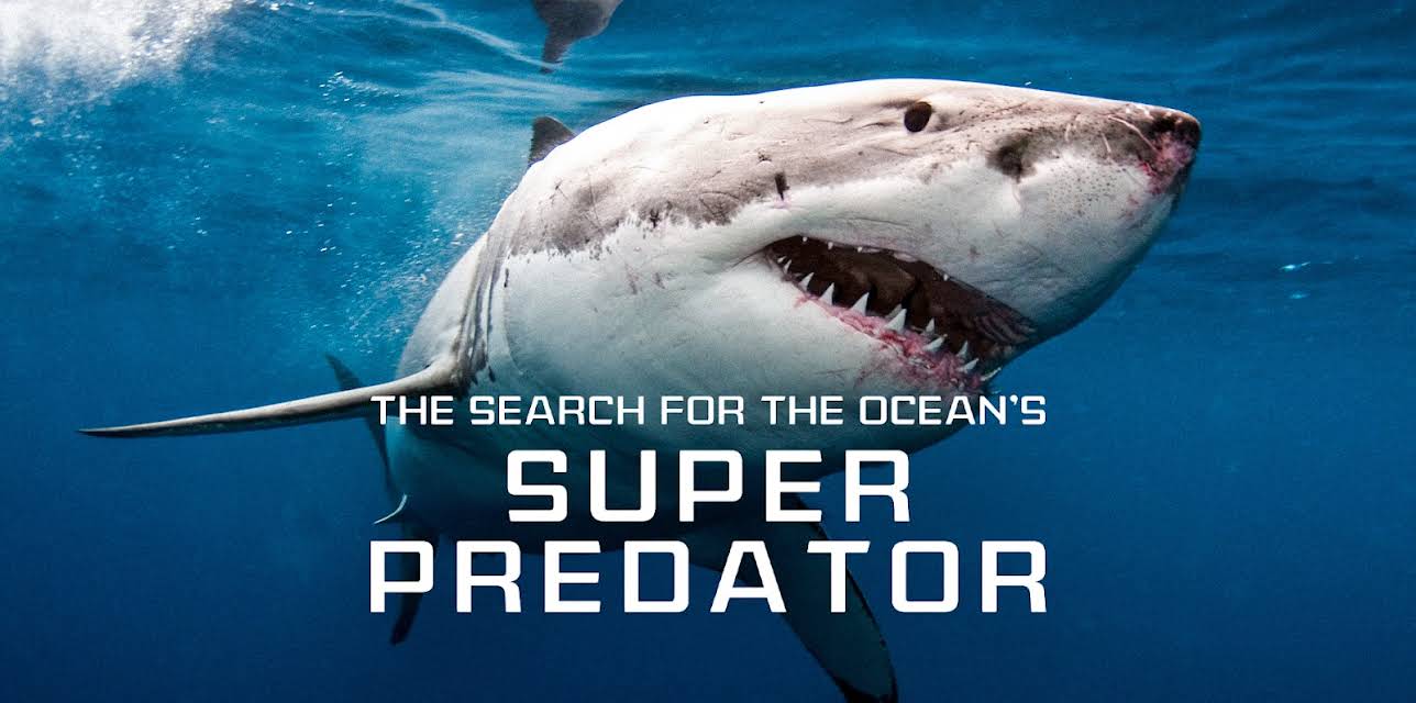 The Search for the Ocean's Super Predator (2013)