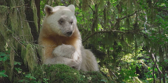 02:35: Unsere Erde III | 3SAT | 2/5 2026