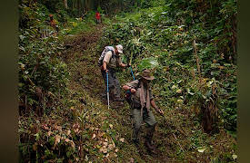 The Best of World's Greatest: Season 1: Treks