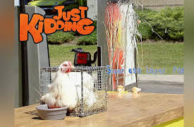 Just Kidding: Extreme Egg Layer