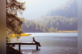 Outdoor Fundamentals: Everything You Need to Know to Stay Safe: Connecting to the Wild within You