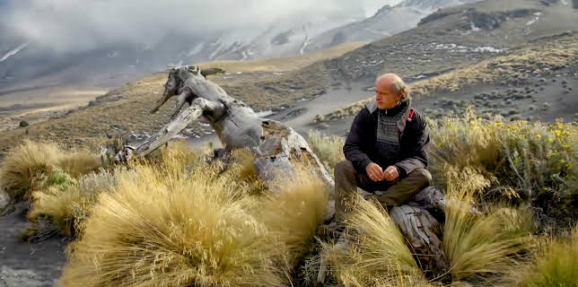 One Hundred Years with Juan Rulfo (2017)