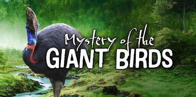 The Mystery of the Giant Birds (2025)