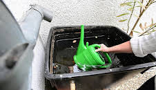 Schnittgut. Alles aus dem Garten