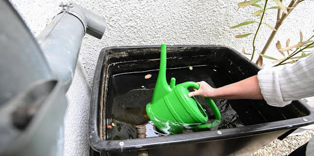 15:30: Schnittgut. Alles aus dem Garten | BR Fernsehen | 1/29 2026