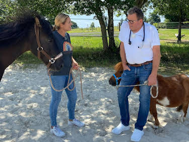 20:15: Praxis Dr. Dreesen - Ein Hof für Tiere | Sat1 Gold | 4/30 2026