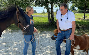 Praxis Dr. Dreesen - Ein Hof für Tiere