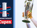Cupen: Før cupfinalen