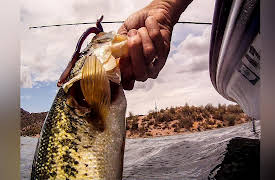 Fishing with Gary Senft: Finding Bigger Fish