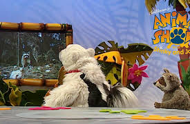 Jim Henson's Animal Show: Featuring: Raccoon, Polar Bear.
