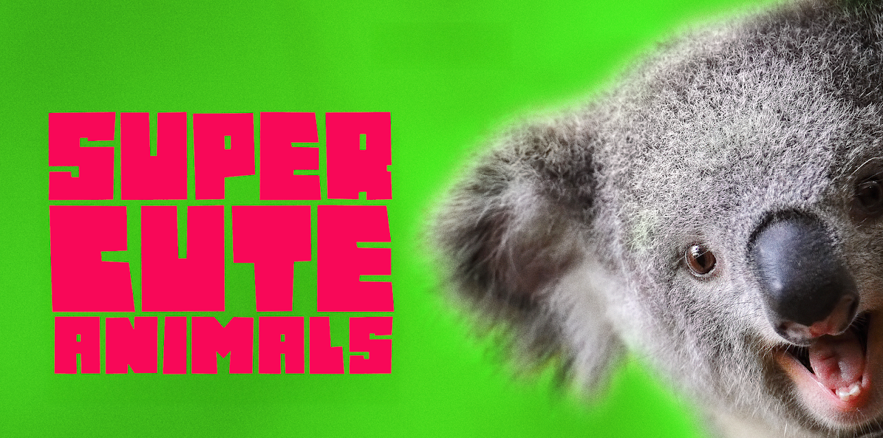 Super Cute Animals (2015)