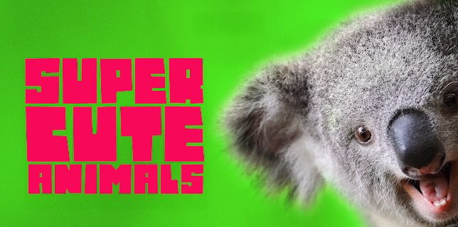 Super Cute Animals (2015)