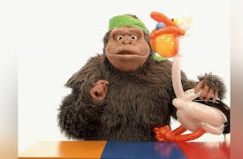 Pop Safari: Florida Everglades