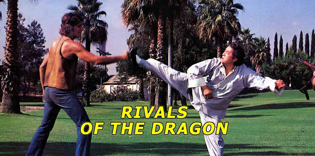 Rivals Of The Dragon (1980)