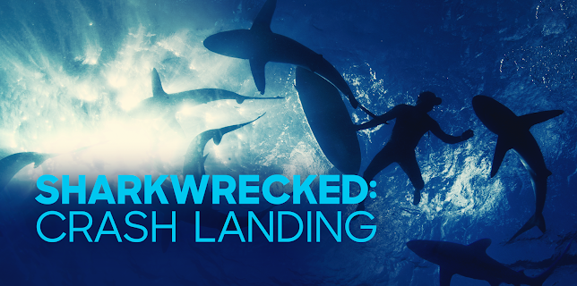 Sharkwrecked: Crash Landing (2019)