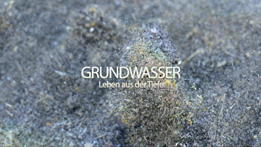05:30: Lebensquelle Grundwasser | SR Fernsehen | 4/2 2026