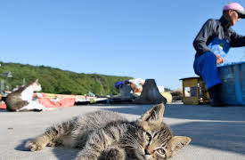 Legendary Locations: Episode 4