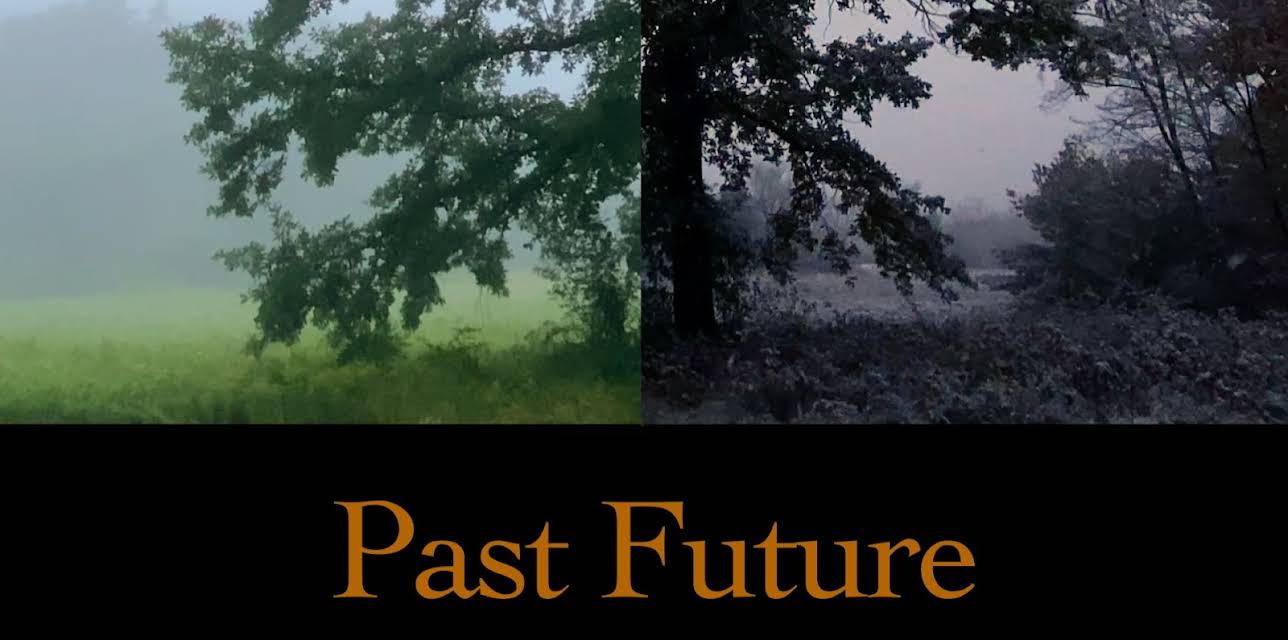 Past Future (2022)