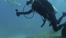 Bear vs Sharks - Ausgesetzt im Bermuda-Dreieck