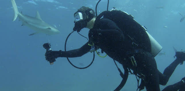 17:00: Bear vs Sharks - Ausgesetzt im Bermuda-Dreieck | ProSieben Maxx | 12/24 2025