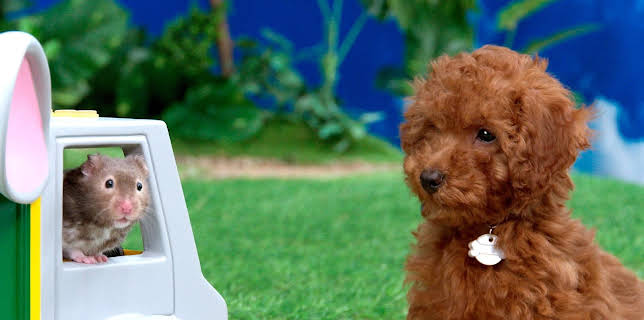 17:20: Rosin og Bolle: Valpedetektiven og den mystiske knasingenValpedetektiven og den mystiske knasingen | NRK Super | 1/14 2026