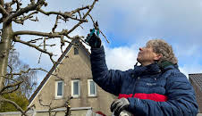 Schnittgut. Alles aus dem Garten