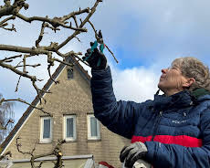 Schnittgut. Alles aus dem Garten