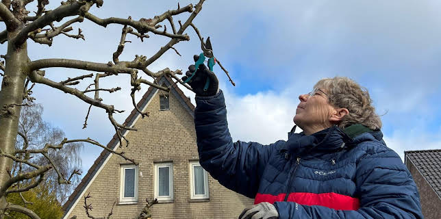 15:30: Schnittgut. Alles aus dem Garten | BR Fernsehen | 3/17 2026