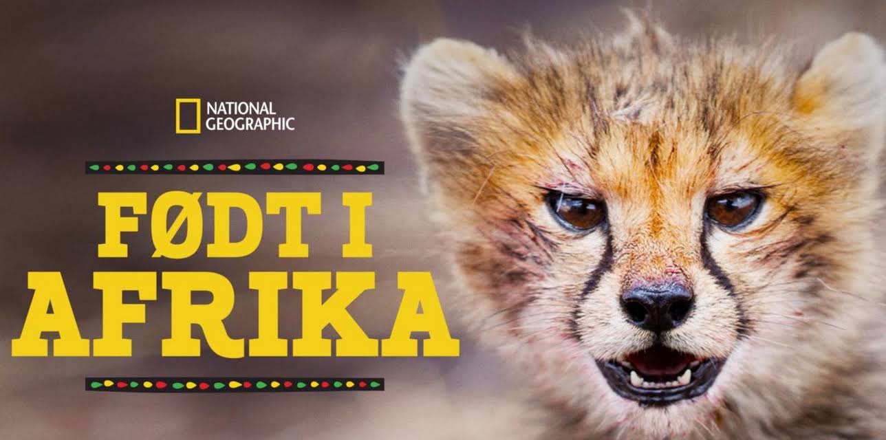 Born In Africa