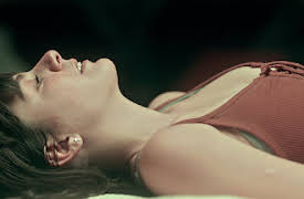 Mörkt begär: En sista het natt